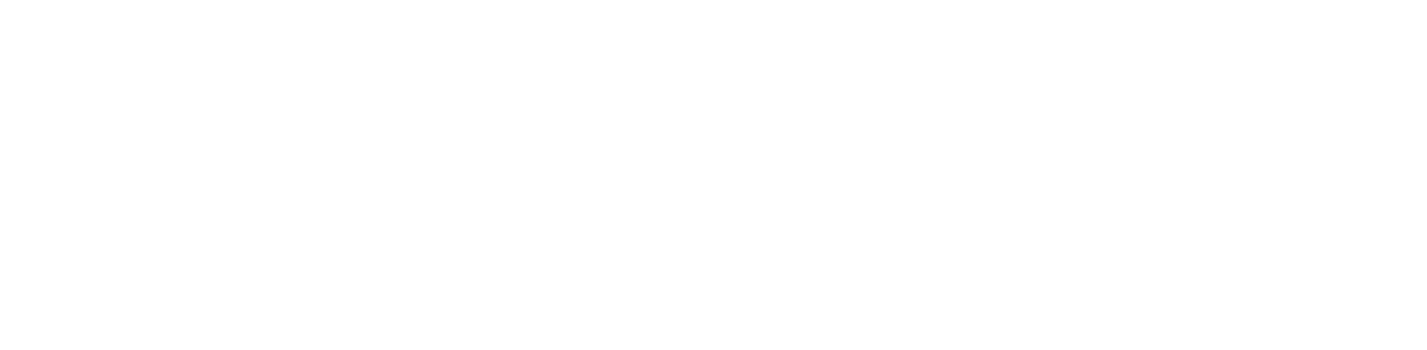 Investor