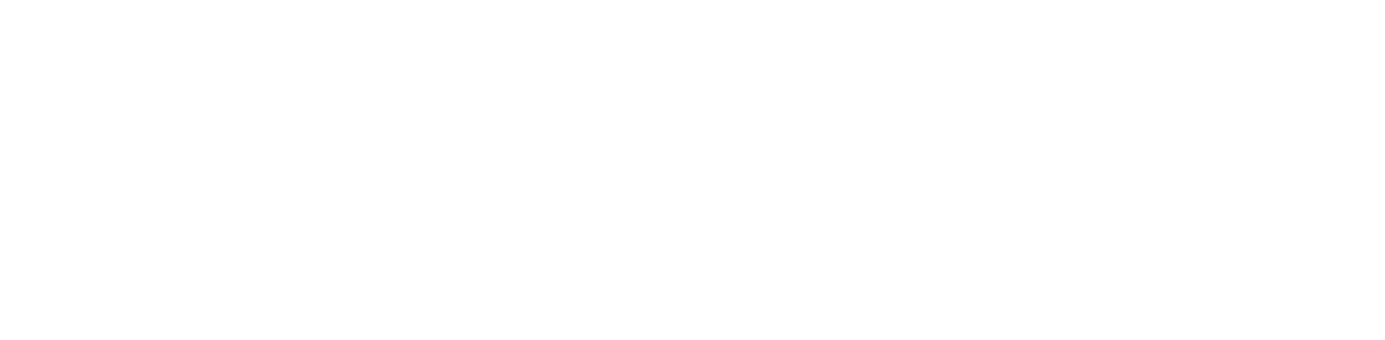 Investor